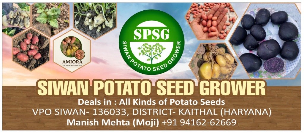 SPSG Logo
